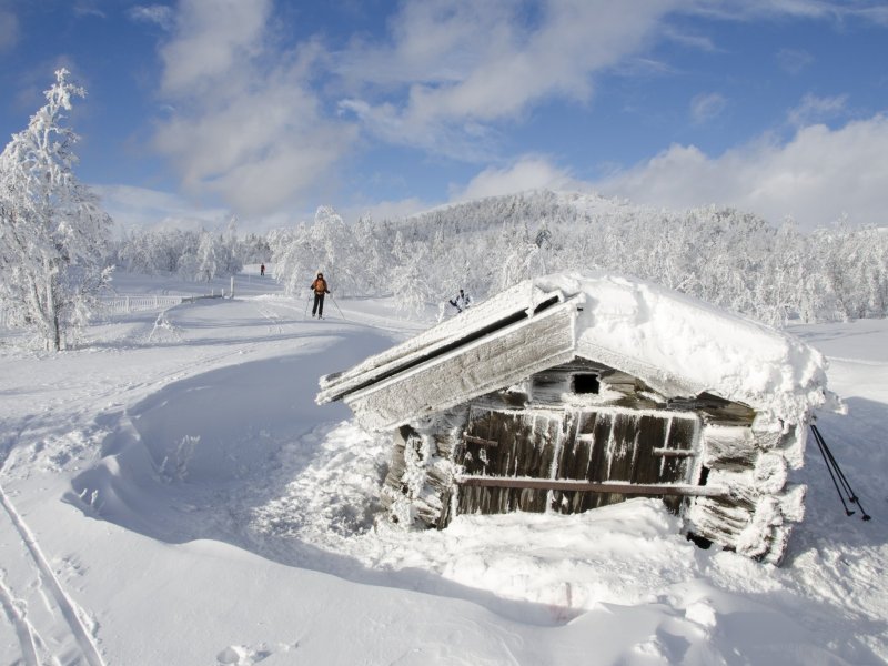 Skilanglauf Norwegen - Venabu, Flaksjöen Bootshütte