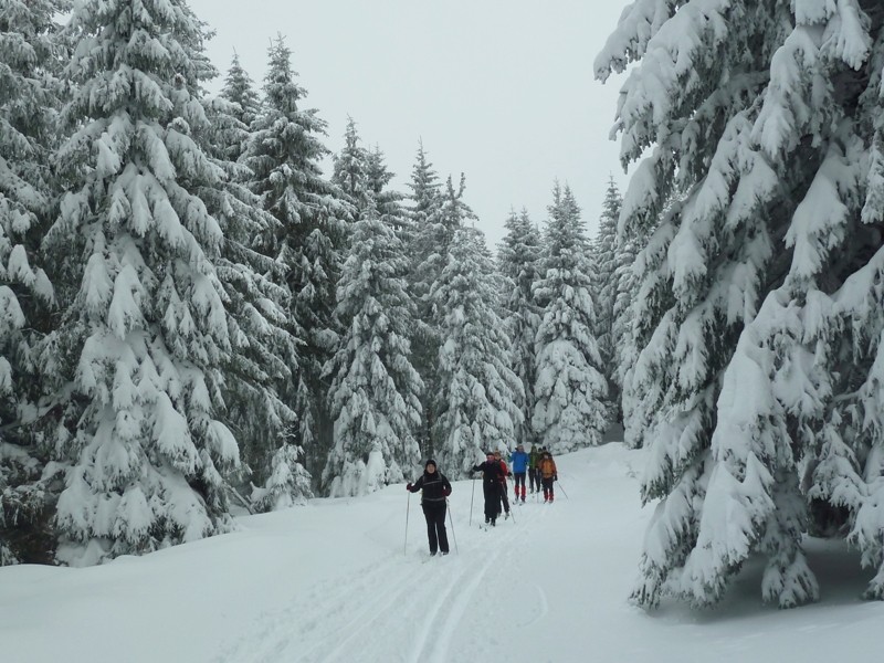 Skilanglauf Harz - Schneewittchenklippenrunde