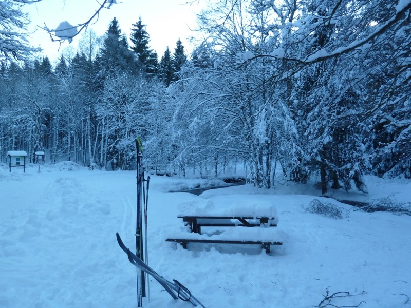 Skilanglauf Harz - Rastplatz Steinbach