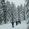Skilanglauf Harz