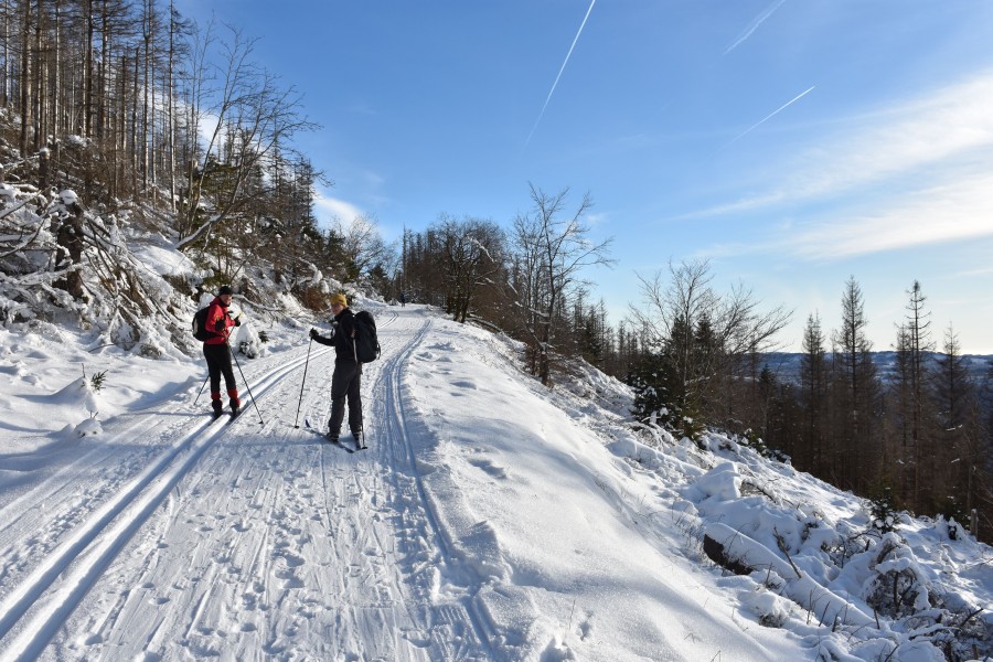 Skilanglauf Harz