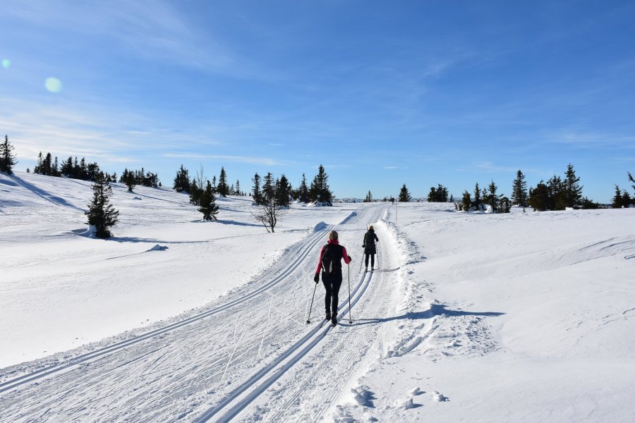 Skilanglauf Norwegen - Nordseter