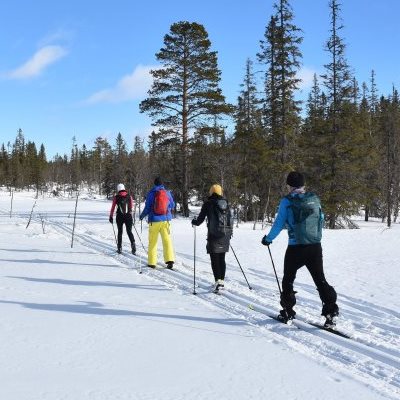 Skilanglauf Norwegen