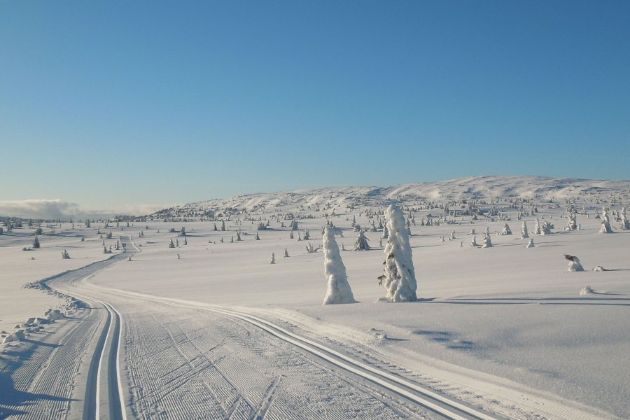 Skilanglauf Norwegen - Nordseter