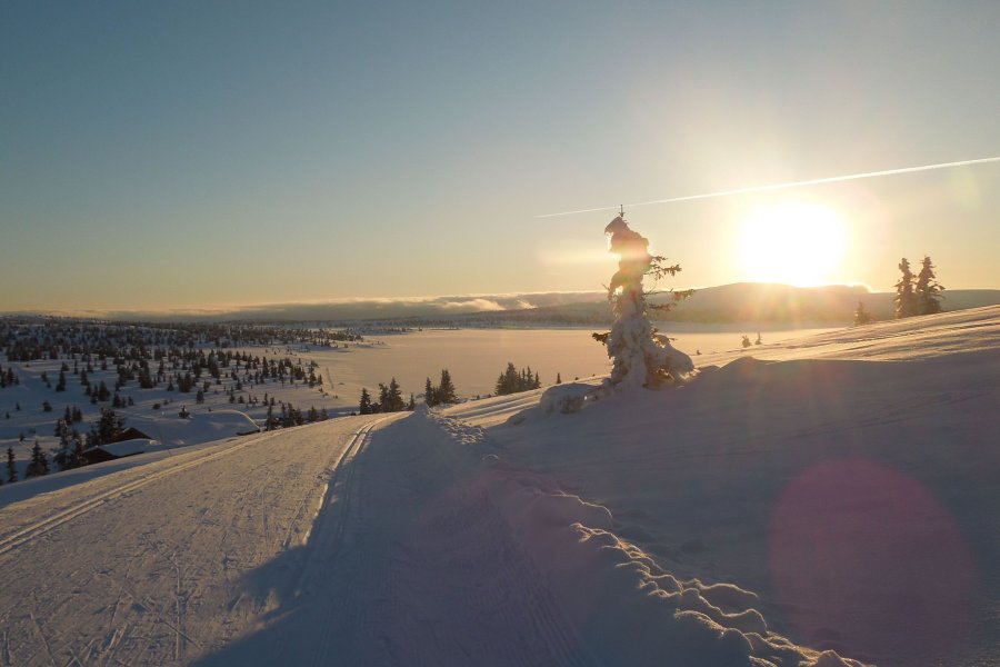 Skilanglauf Norwegen - Nordseter