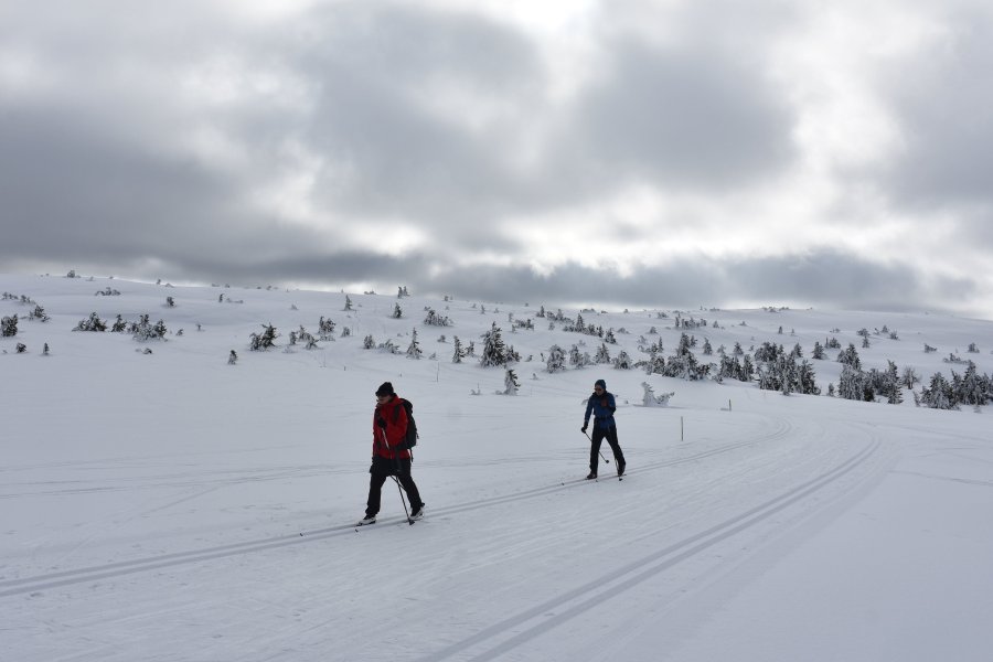 Skilanglauf Norwegen - Nordseter