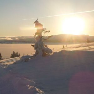 Skilanglauf Norwegen