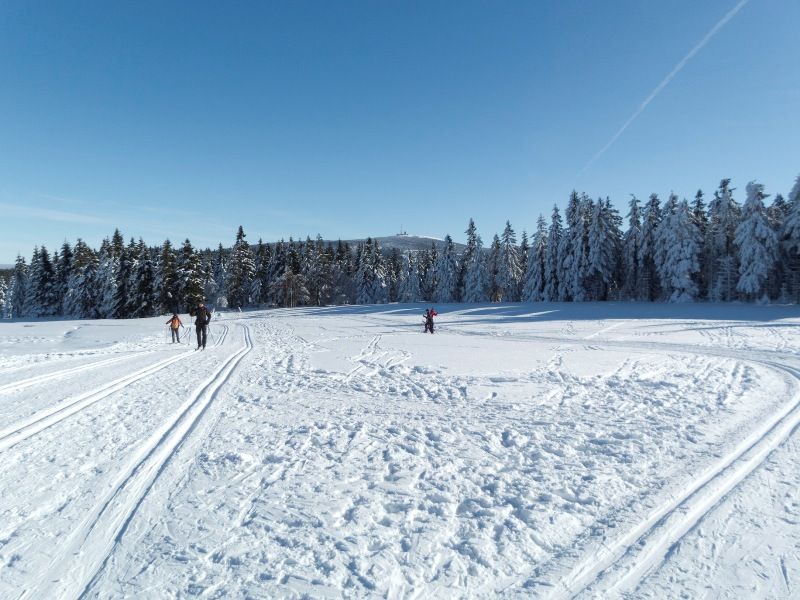 Skilanglauf Harz: Torfhaus / Brockenblick