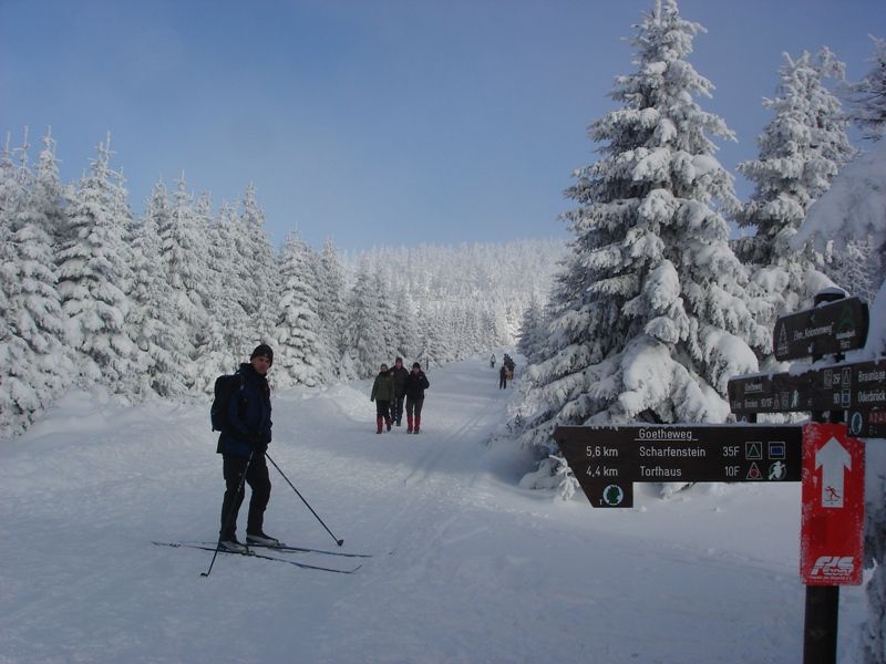 Skilanglauf Harz: Eckersprung