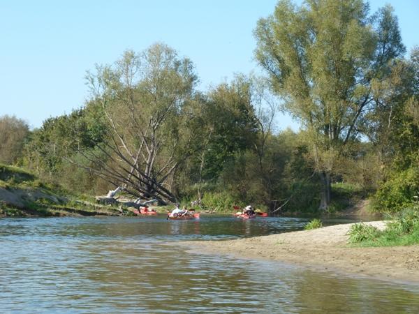 Lippe: Renaturierung