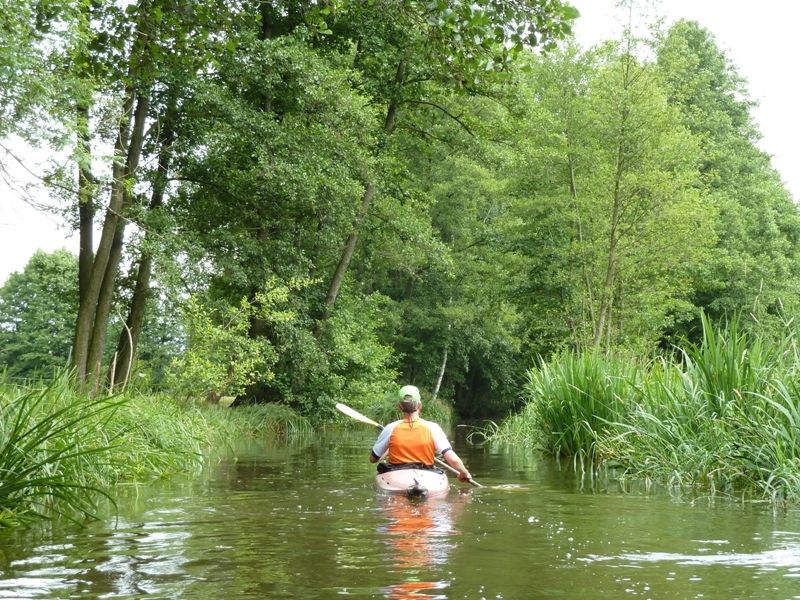 Spreewald