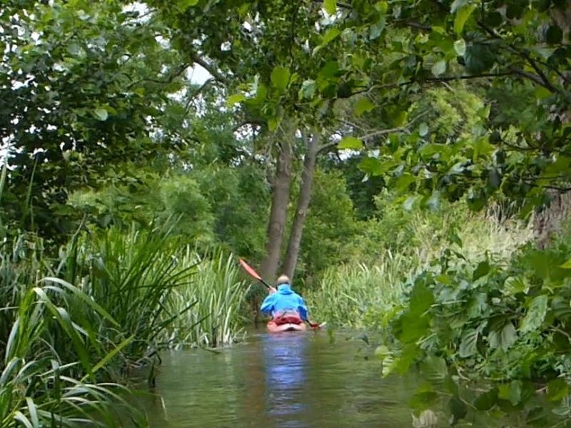 Spreewald - Neue Spree