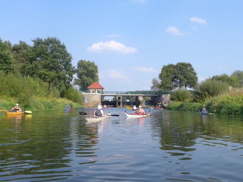 Aller / Wienhäuser Mühlenkanal