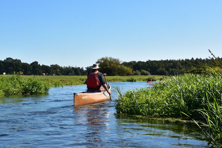 Aller / Wienhäuser Mühlengraben