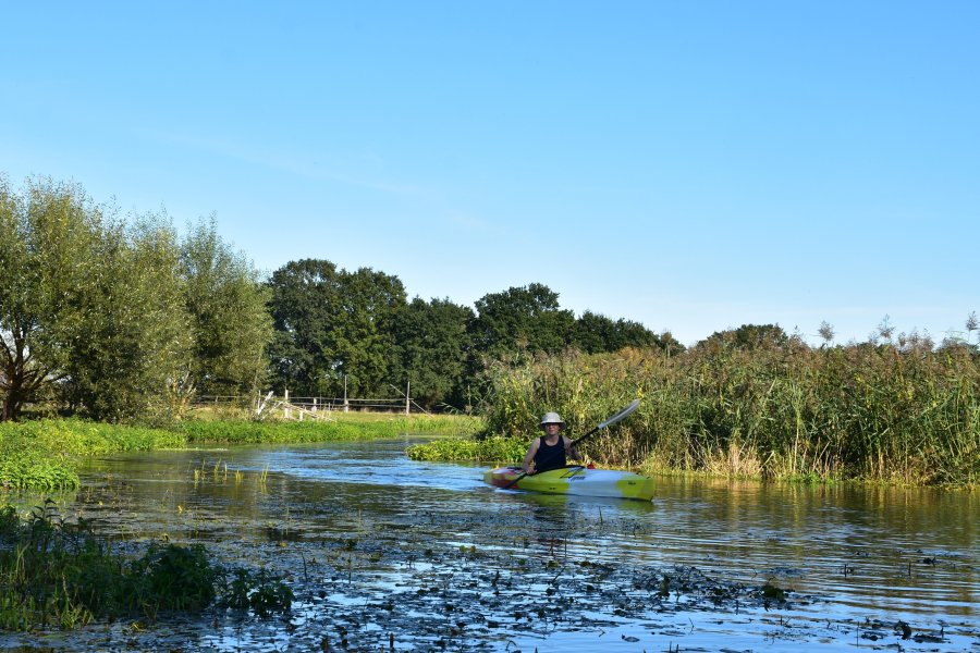 Aller / Wienhäuser Mühlengraben