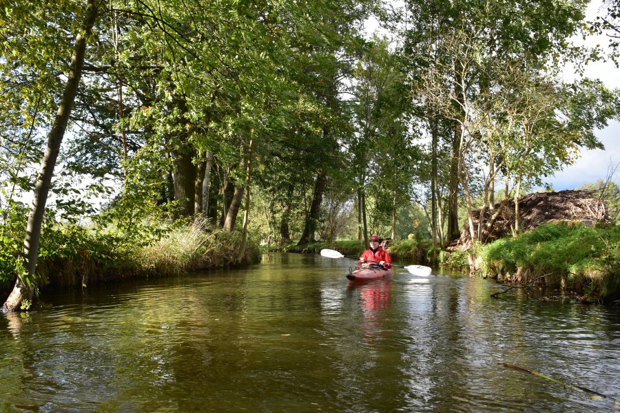 Spreewald