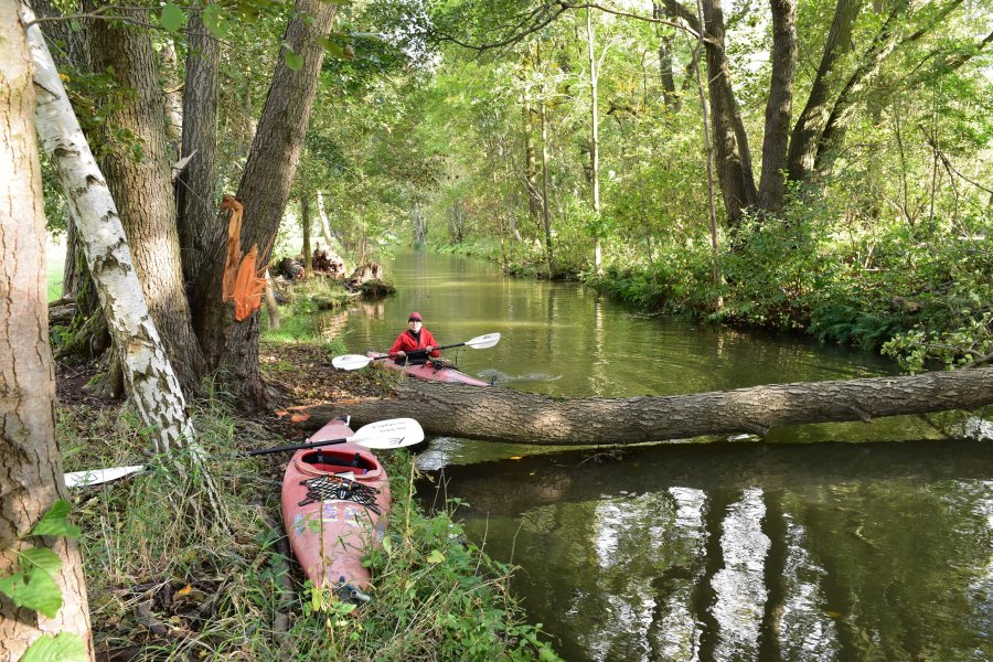 Spreewald