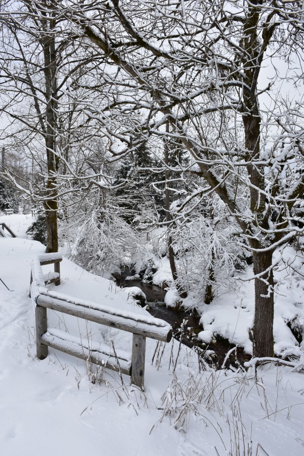 Skilanglauf Harz - Oderteich