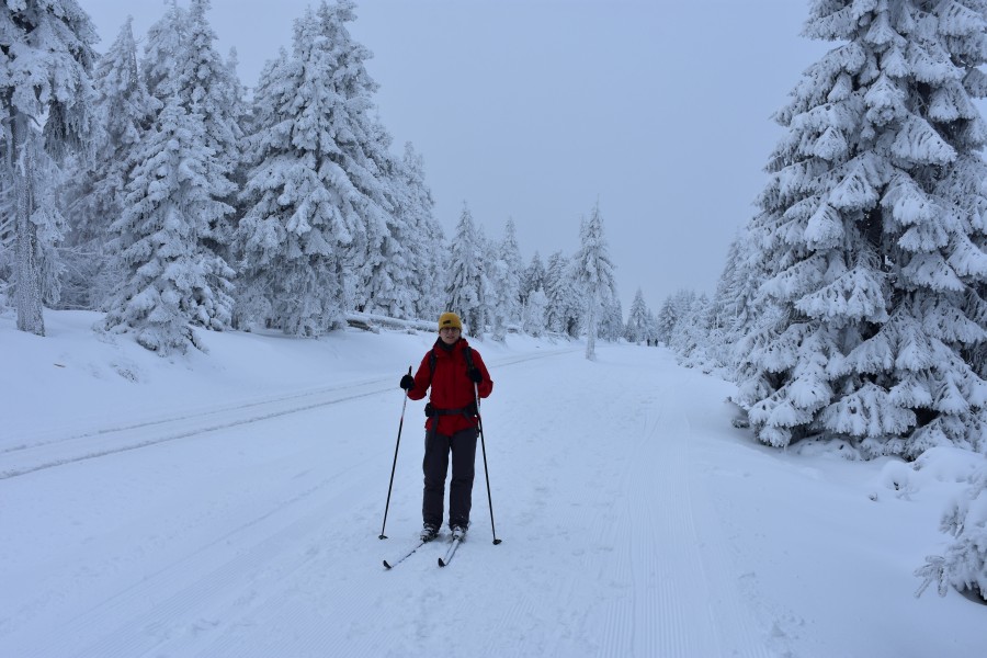 Skilanglauf Harz - Hanskühnenburg