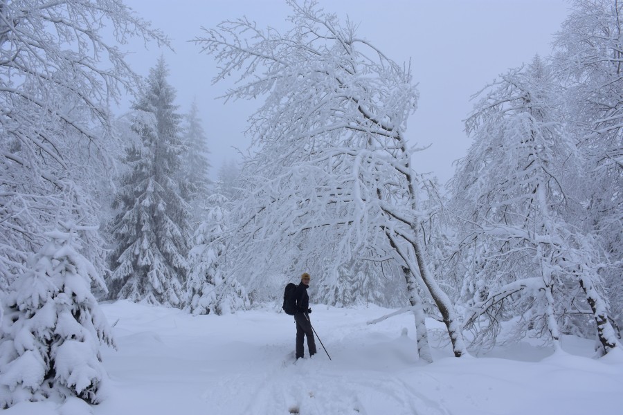 Skilanglauf Harz