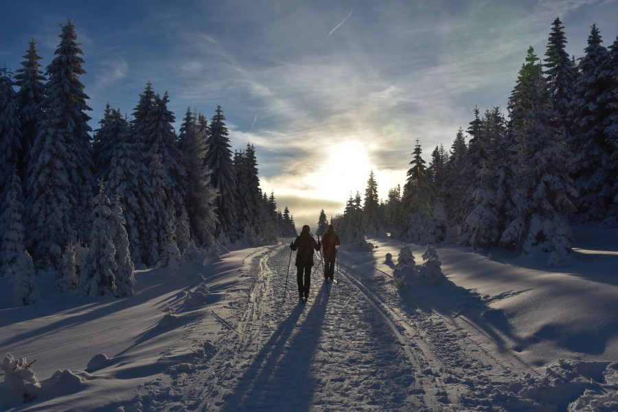 Skilanglauf Harz - Wolfswarte