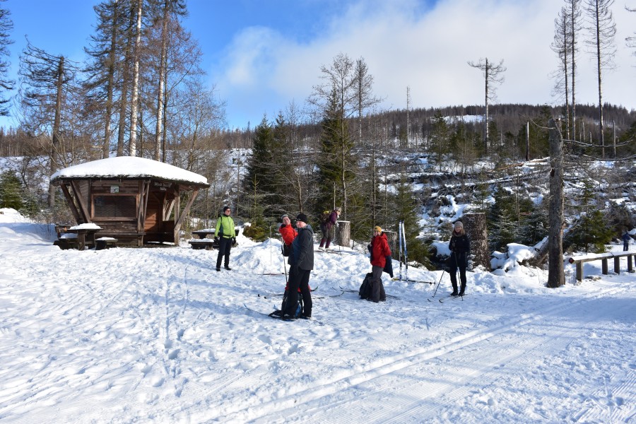 Skilanglauf Harz - Rastplatz Steinbach