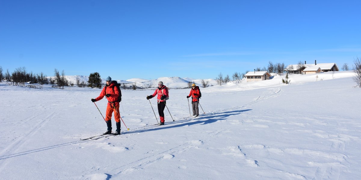 Skilanglauf Norwegen - Nordseter