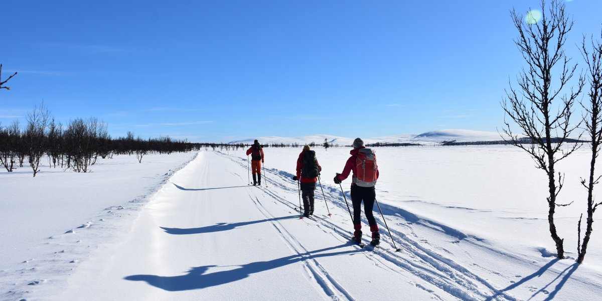 Skilanglauf Norwegen - Nordseter